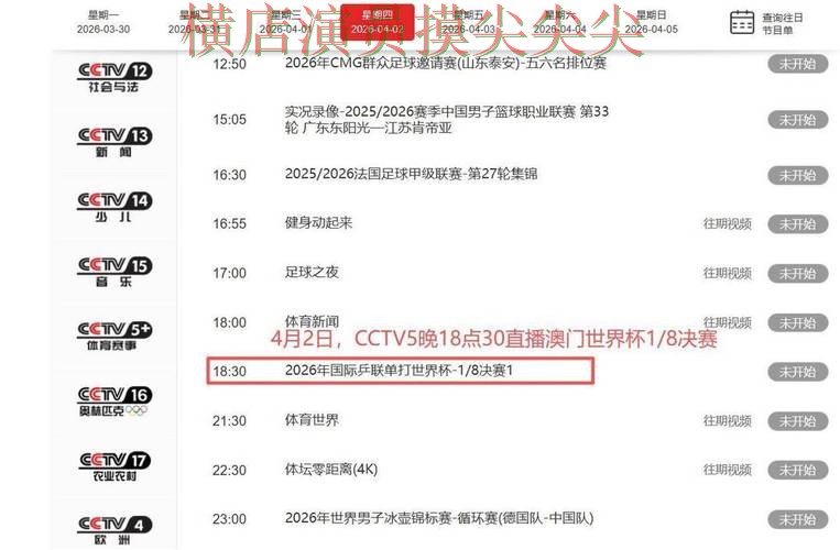 世界杯投注平台合集推荐:聚焦玩法指南与赛事直播体验 - World Cup 2026